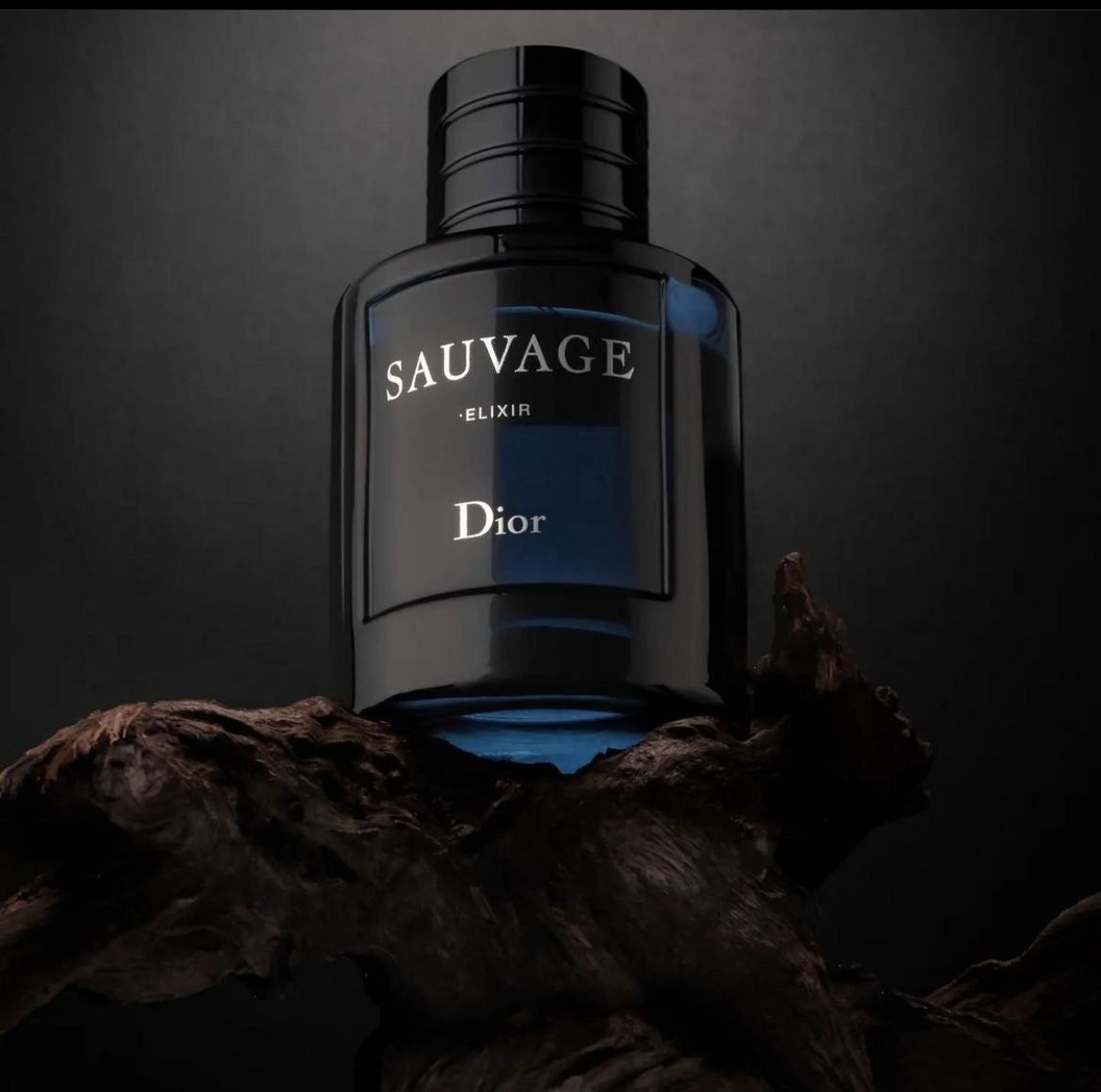 DIOR SAUVAGE ELIXIR