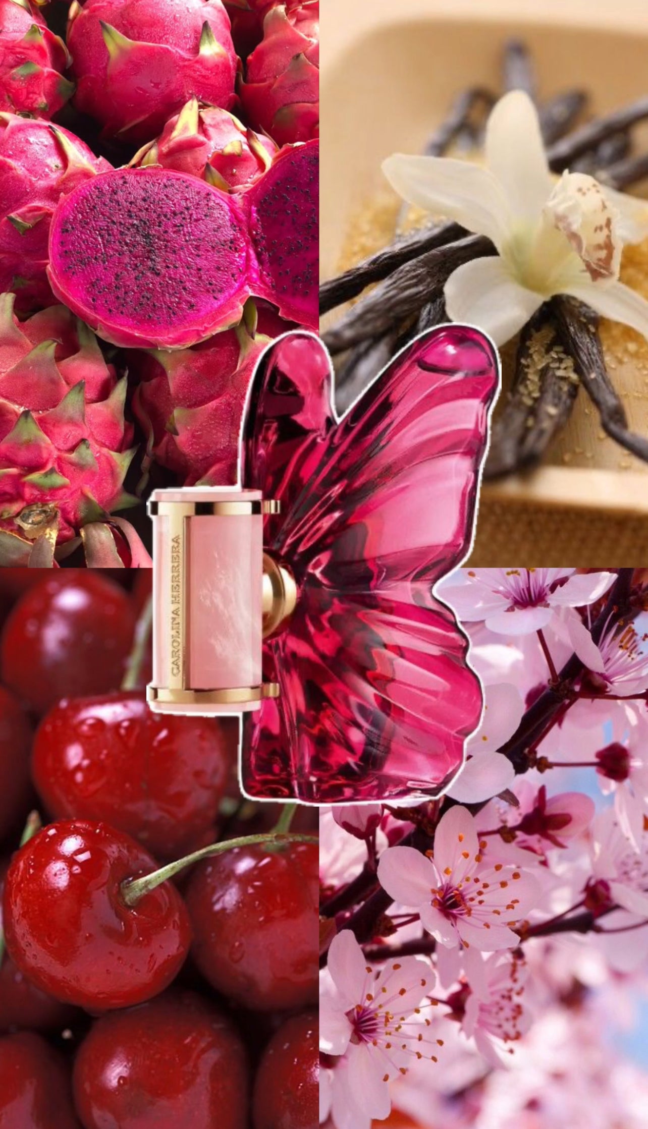 La Bomba Carolina Herrera Eau De Parfum Spray 2.7oz